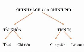 Chính Sách Của Chính Phủ Kinh Tế Vi Mô